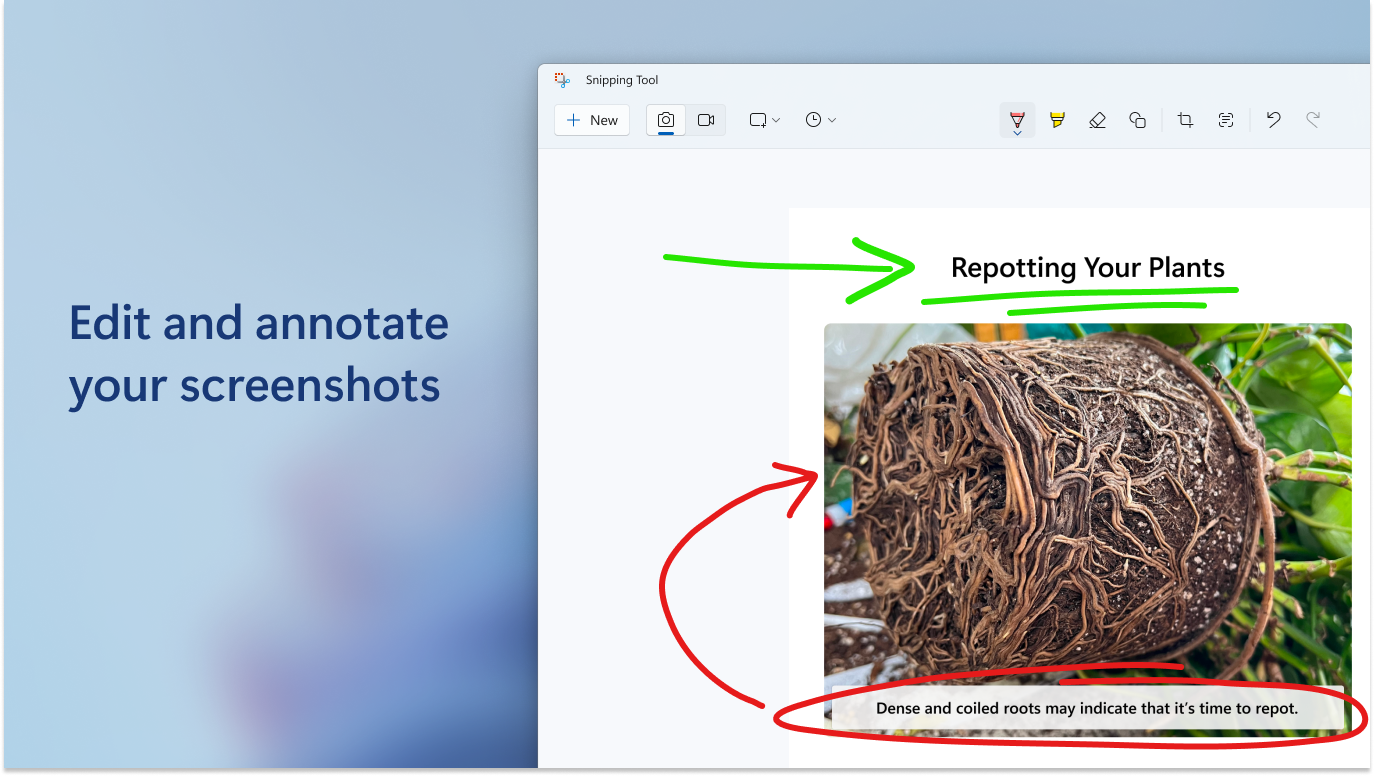 Snipping Tool annotation with green and red ink on a plant care screenshot