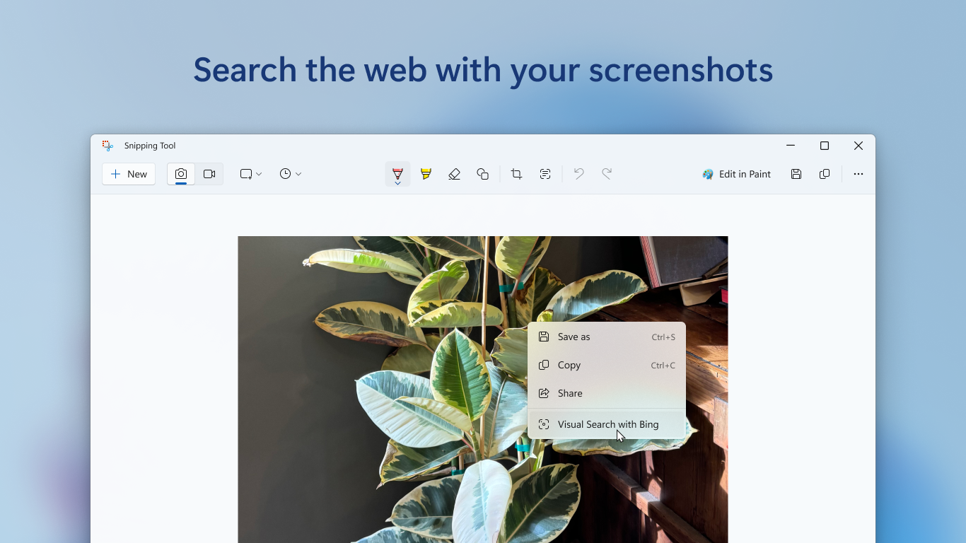 Context menu highlighting Visual Search beside Save as, Copy, and Share